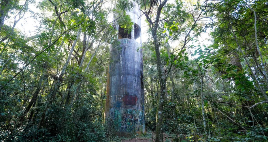 O Mirante Secreto do Parque Barigui: Mistério Entre as Árvores de Curitiba